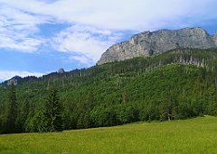 150_p20_IMG_20250623_173555