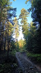 x14_IMG_20251008_081039