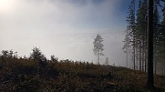 x14_IMG_20251008_084543_1