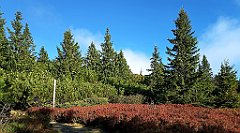 x14_IMG_20251008_093439