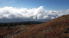 x14_IMG_20251008_103346