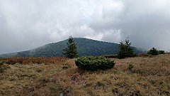 x14_IMG_20251008_142228